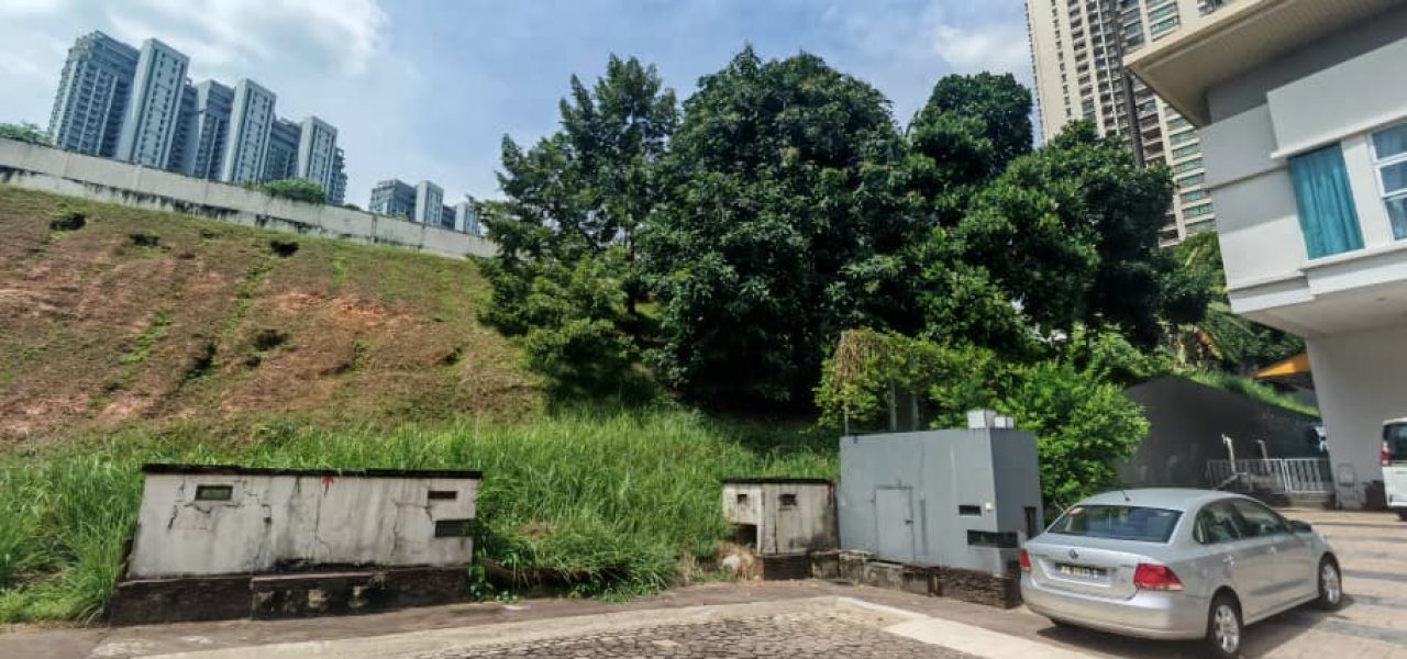 PHOTO-2025-07-15-21-32-01